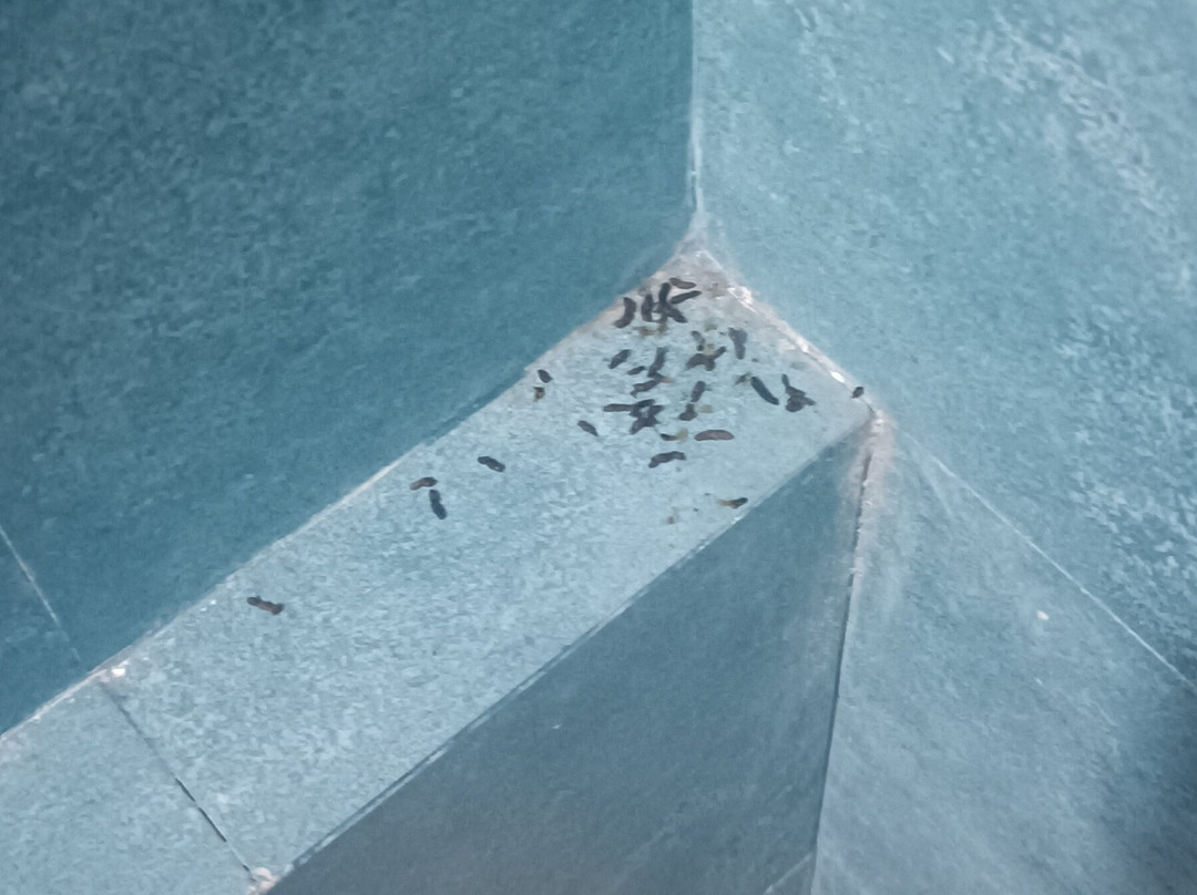 Royale Greens Resort主图