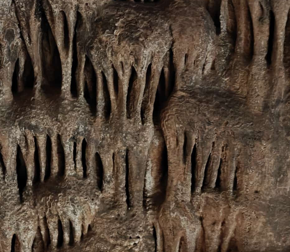 Coves Del Salnitre-Collbato必去景点