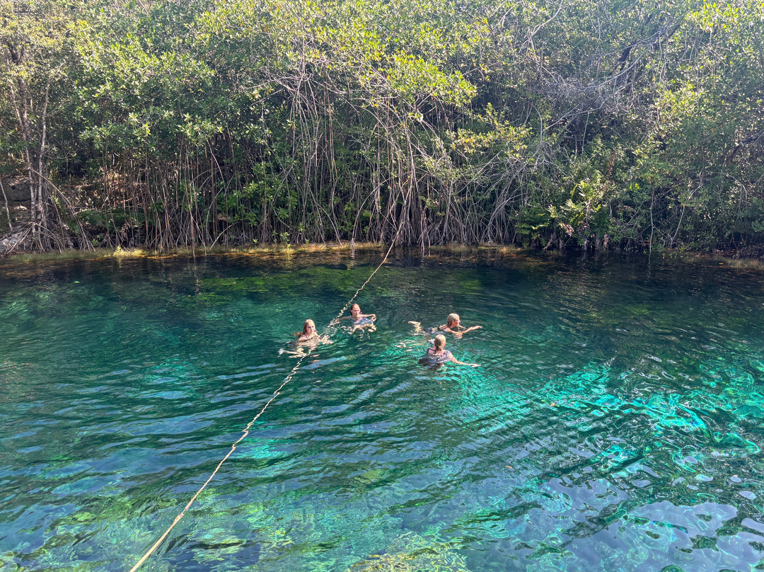 Tulum Private Tours景点图片