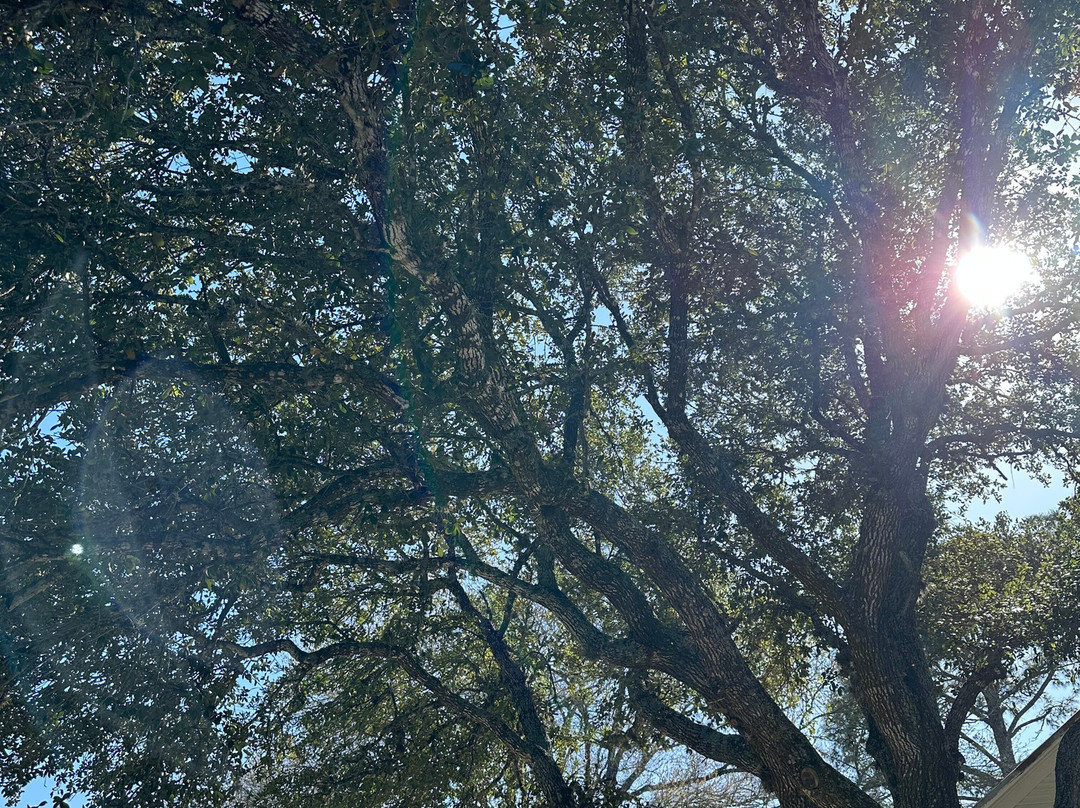 Farmstead Round Top主图