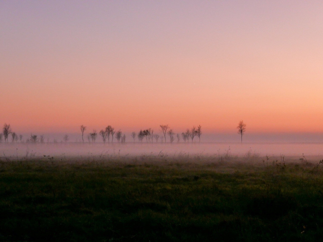 Wild Poland Wildlife Tours景点图片