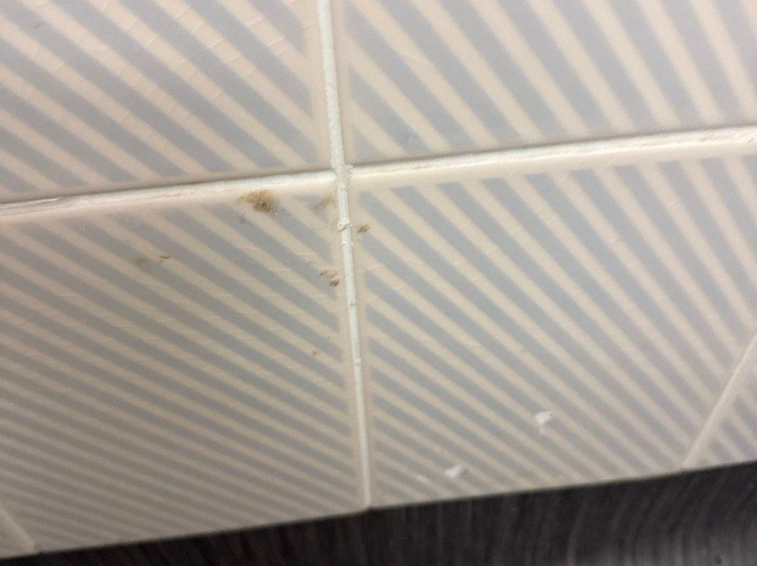 Travelodge Chichester Emsworth主图