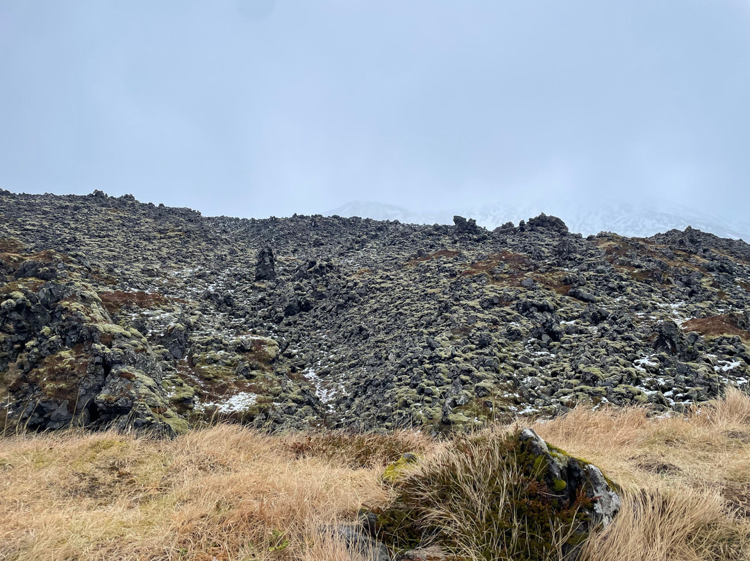 Djupalonssandur Beach-Hellnar必去景点