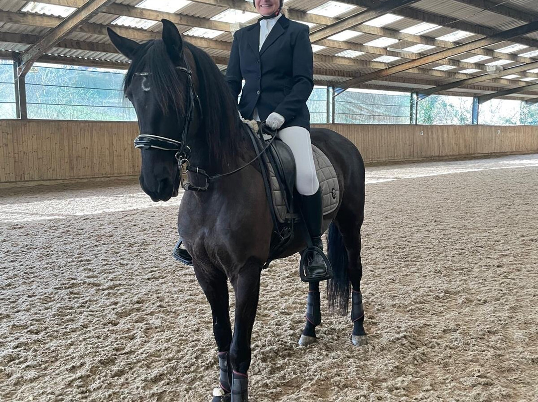 Pen Llyn Lusitano Stud and Riding Centre景点图片