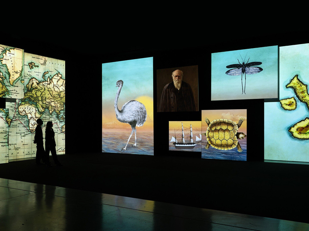 National Portrait Gallery Unframed: Stories - Brought to Life