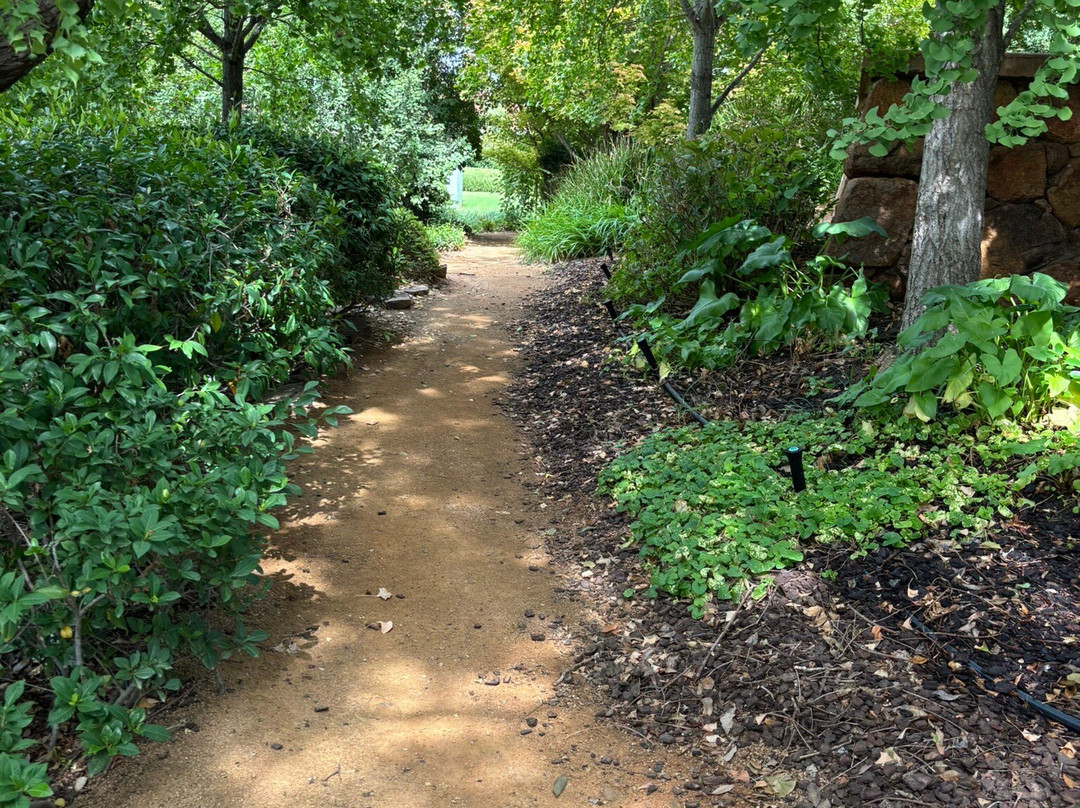 Dubbo Regional Botanic Gardens Adventure Playground-达博必去景点