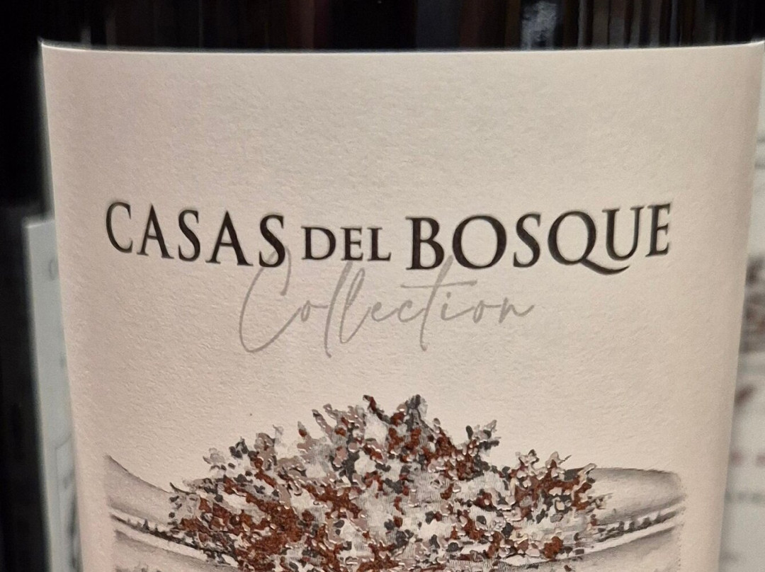 Casas del Bosque-卡萨布兰卡必去景点