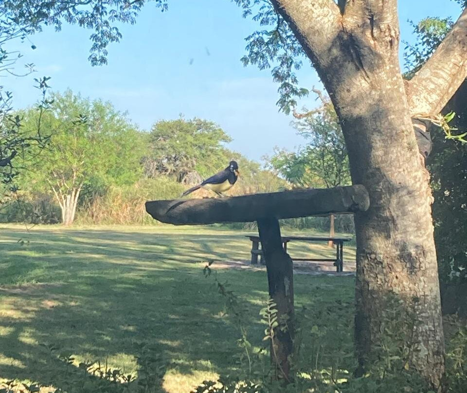 Posada Uguay - Esteros del Iberá主图