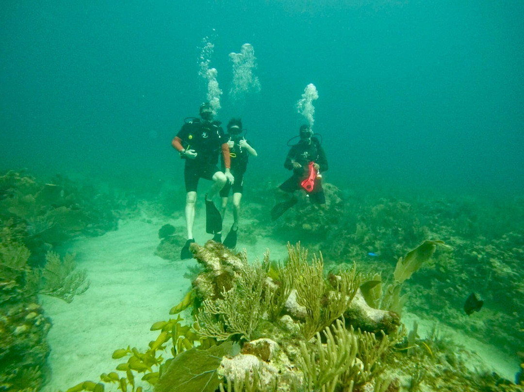 King Scuba Dive Center-从莫雷洛斯港必去景点