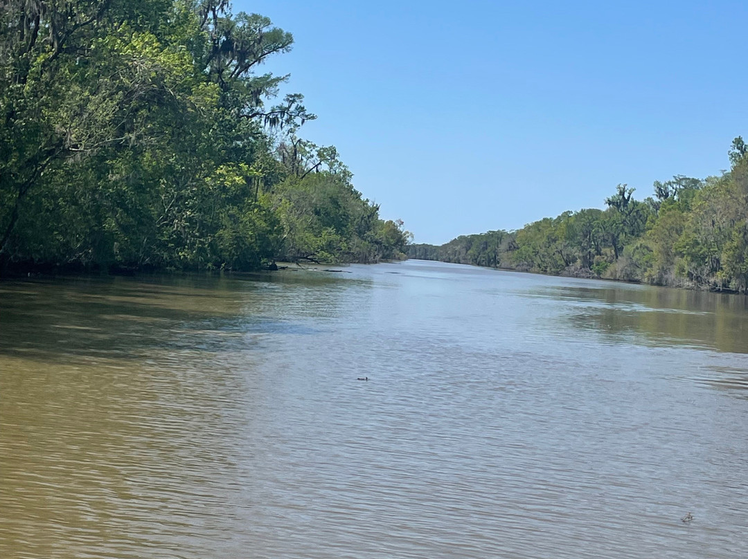 Cajun Man's Swamp Tours & Adventures-Gibson必去景点