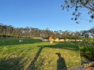 Rockcliffe Winery-丹麦必去景点