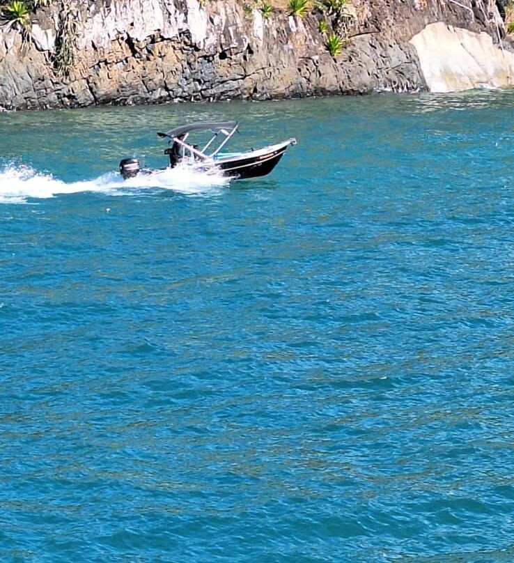 Viva Ilhabela Tour - Passeios De Barco-圣塞巴斯蒂昂必去景点