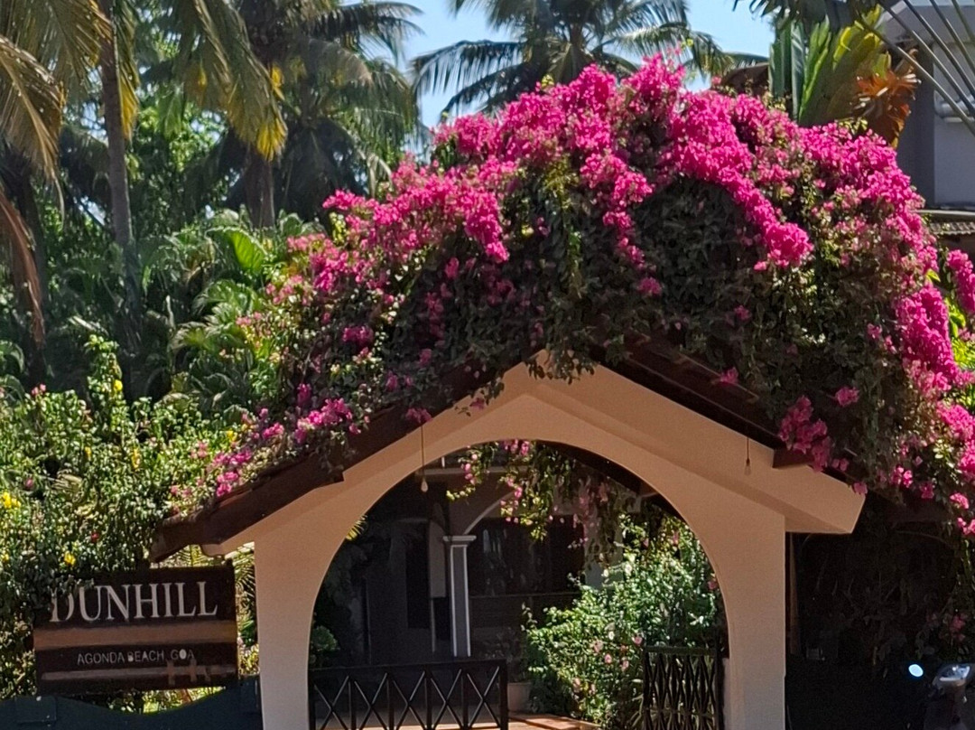 Dunhill Beach Resort主图