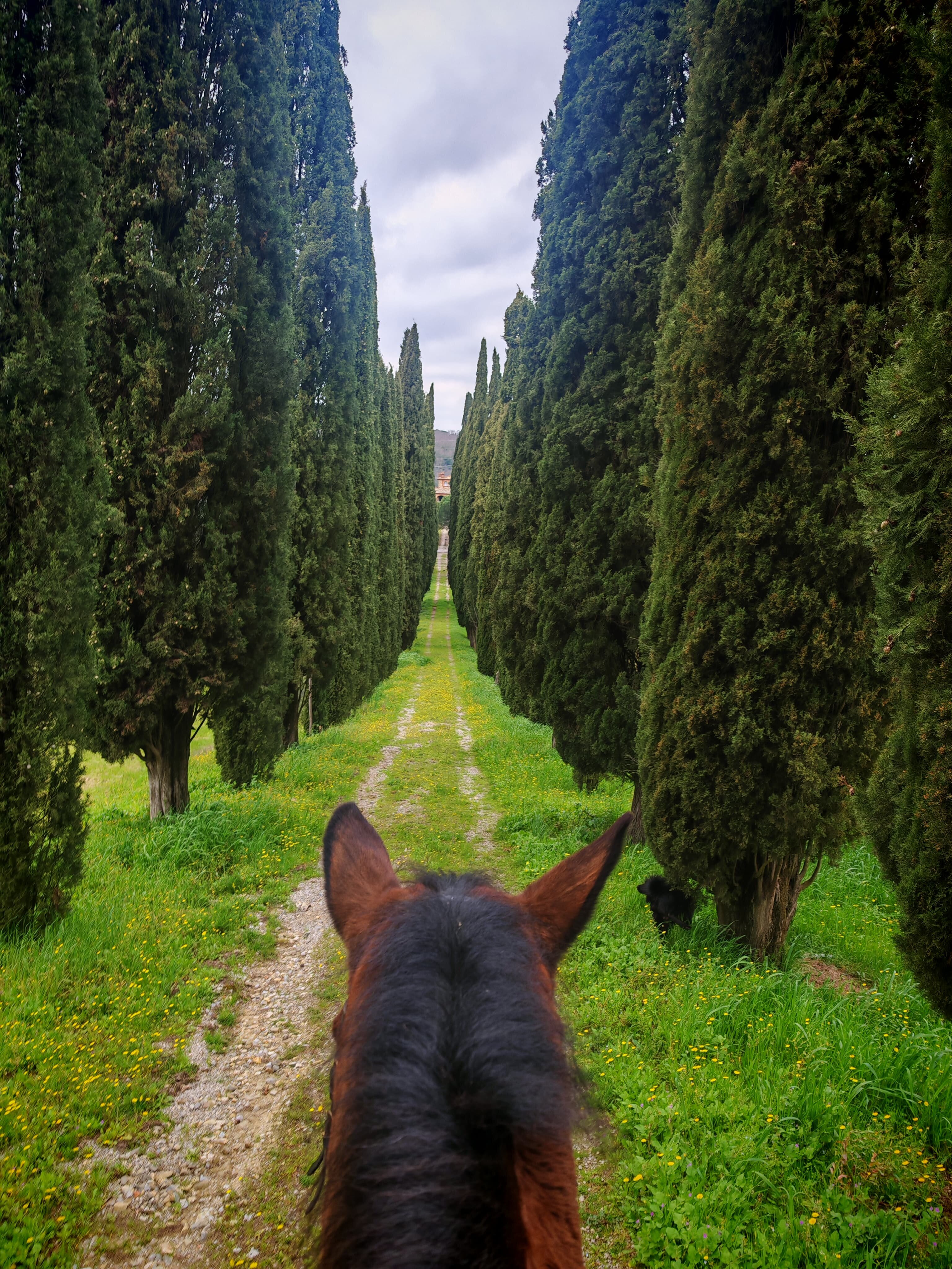 Castello del Calcione-官方