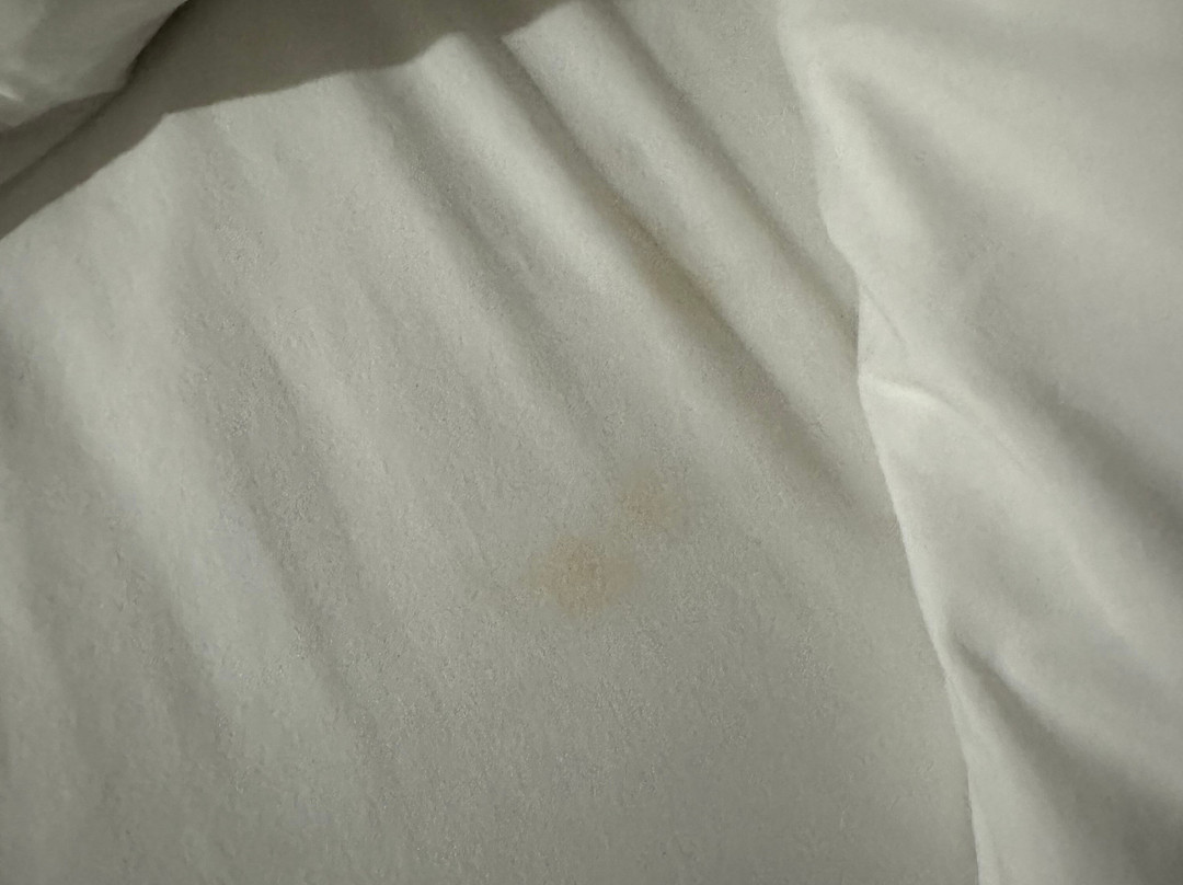 Microtel Inn & Suites by Wyndham Ardmore主图