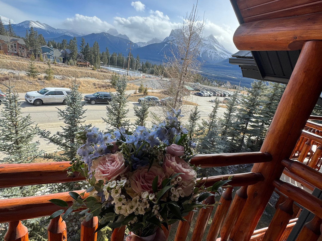 熊及野牛乡村酒店主图