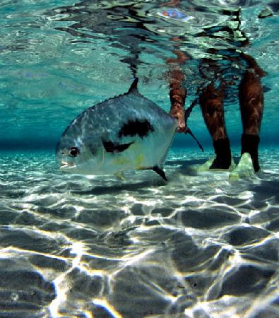 Rickmon Bonefish Lodge主图