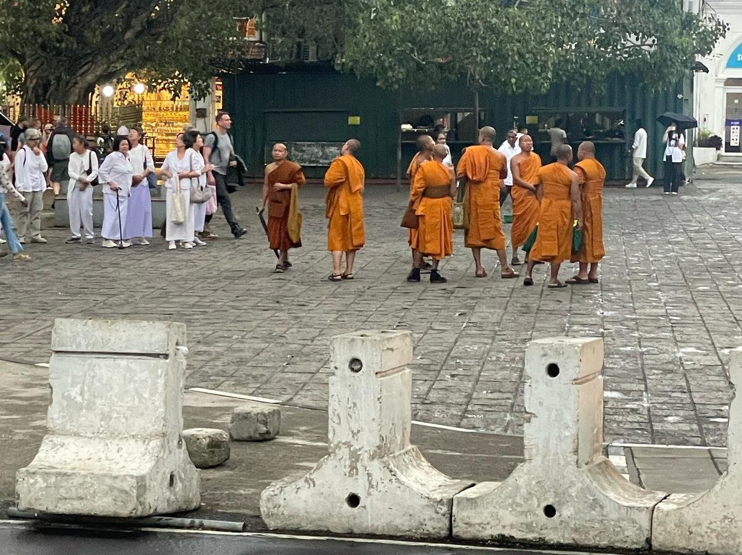 Sri Lanka Jason’s Private Drivers景点图片