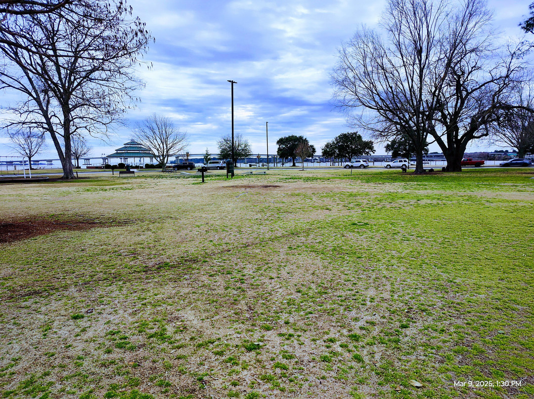 Union Point Park景点图片