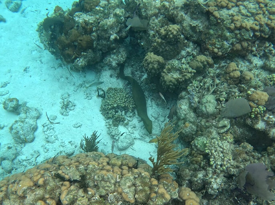 Mainstay Sailing-西湾必去景点