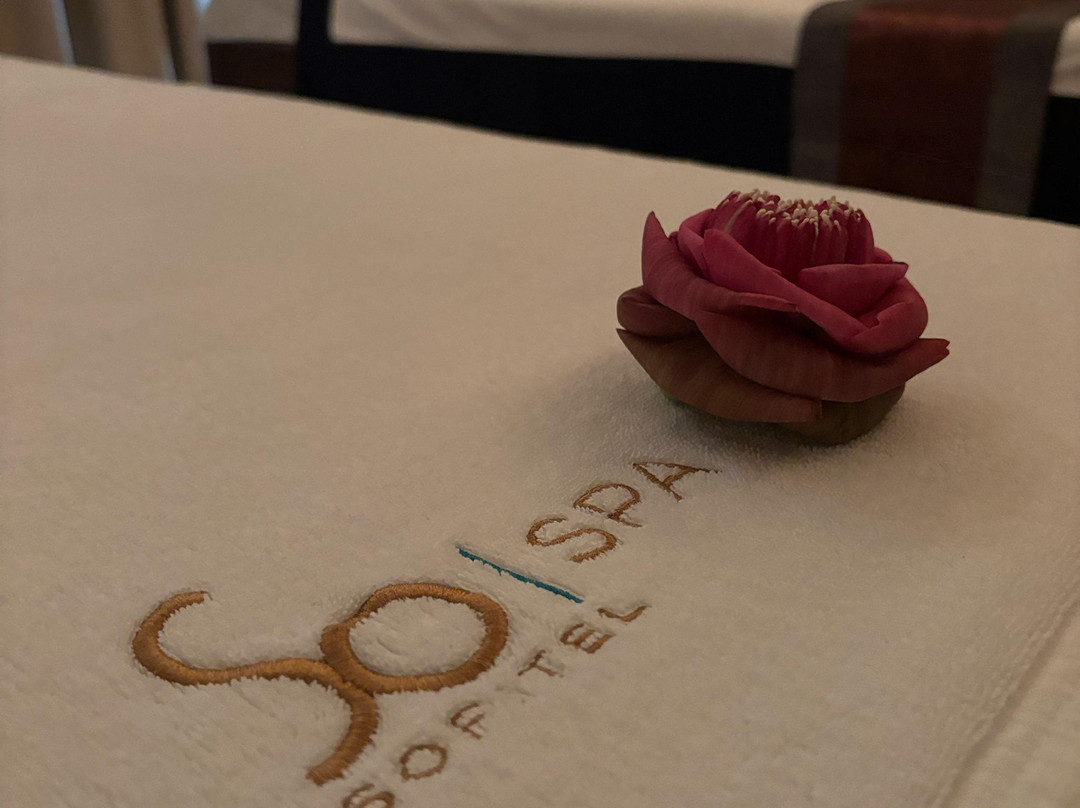 Sofitel Spa景点图片