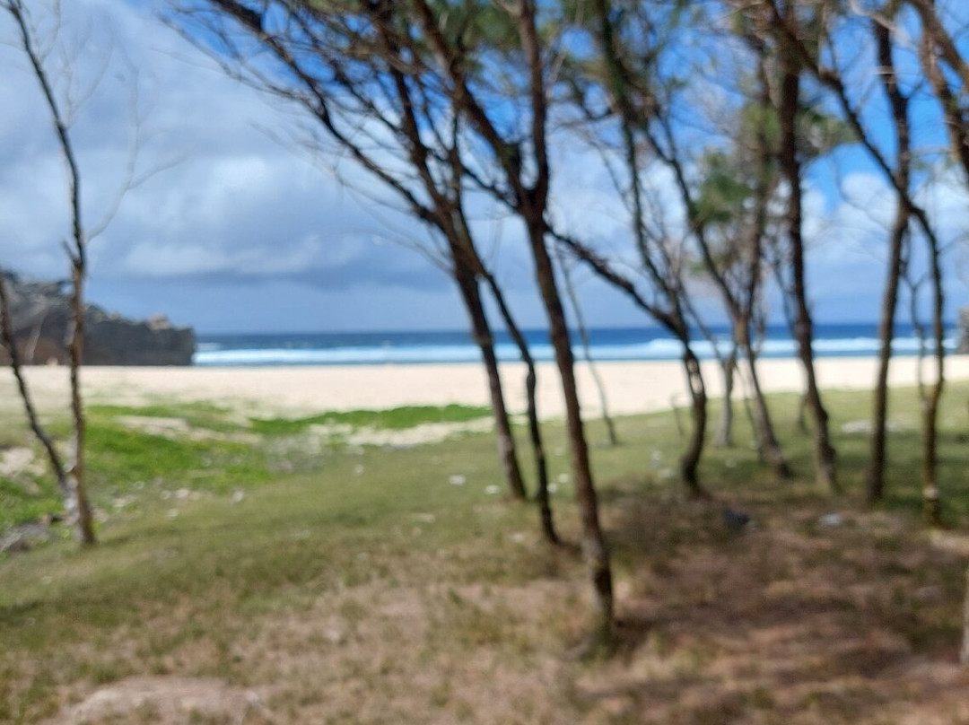 罗德里格斯海滩-罗德里格斯岛必去景点