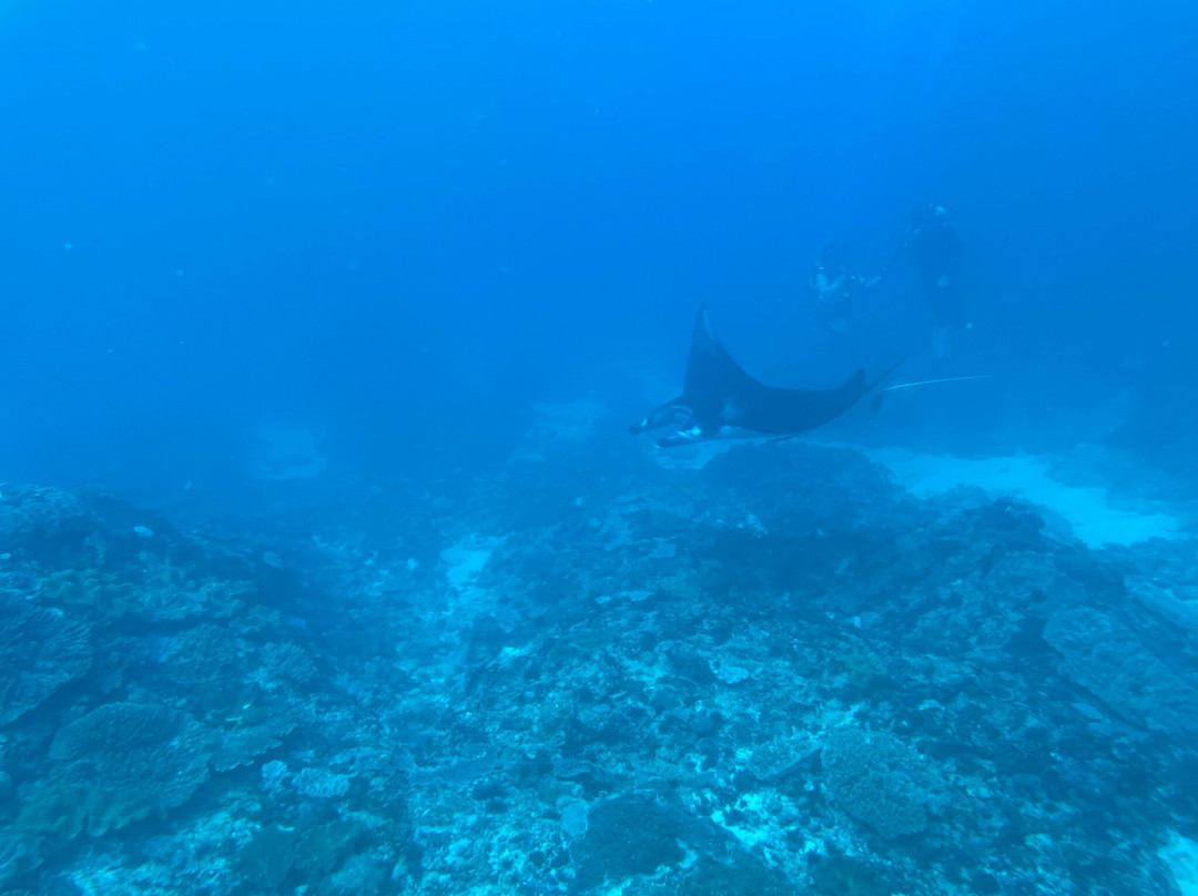 Tamarind Divers-蓝梦岛必去景点