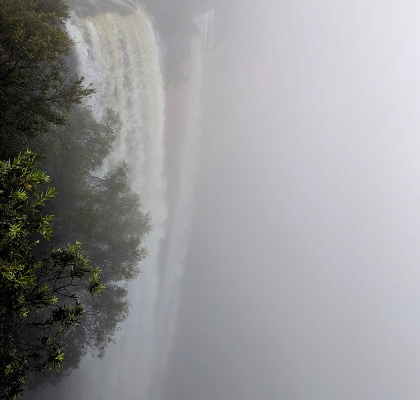 Fitzroy Falls Visitor Centre-Fitzroy Falls必去景点