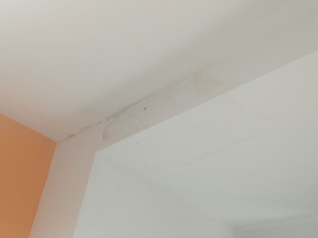 Hotel Numero Uno主图