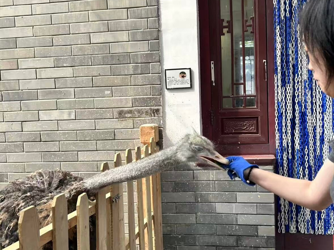 Haitan Ancient City Scenic Area-平潭县必去景点