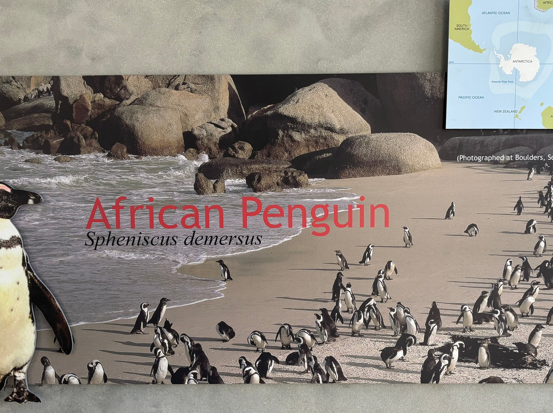 WineFairy-开普敦中心区必去景点