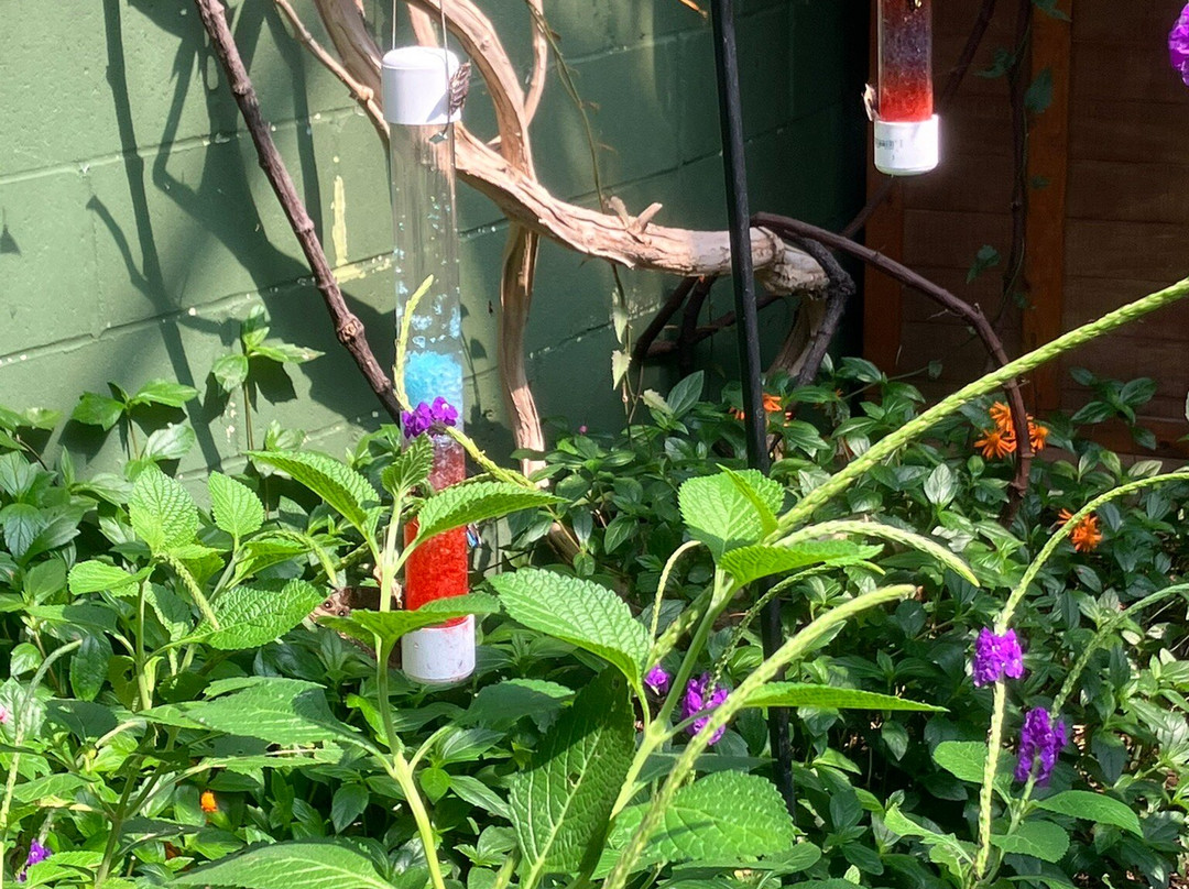 Butterfly Wonderland-斯科茨代尔必去景点