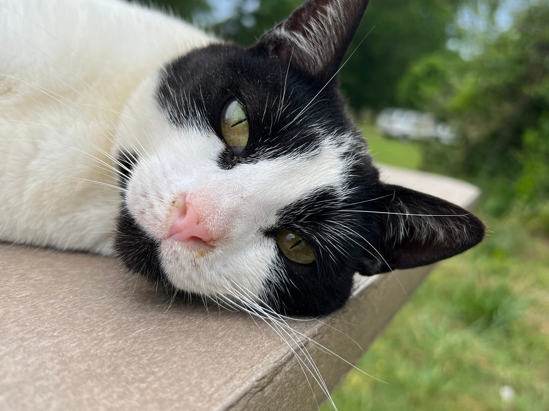 Inn at Celebrity Dairy主图