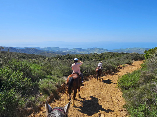 Circle Bar B Guest Ranch & Stables-戈利塔必去景点