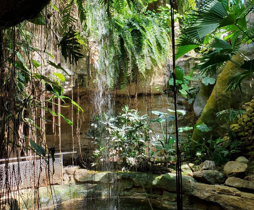 克莱尔蝴蝶中心-休斯顿必去景点