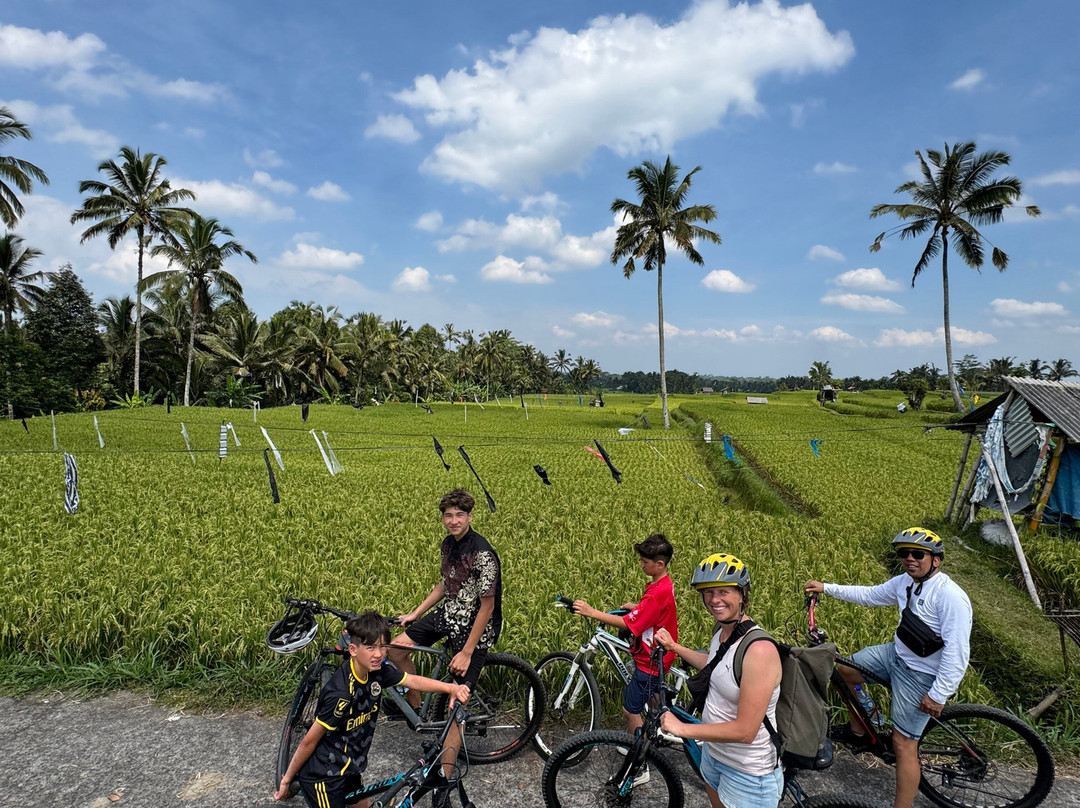 Bali Great Bike Tour-吉安雅必去景点