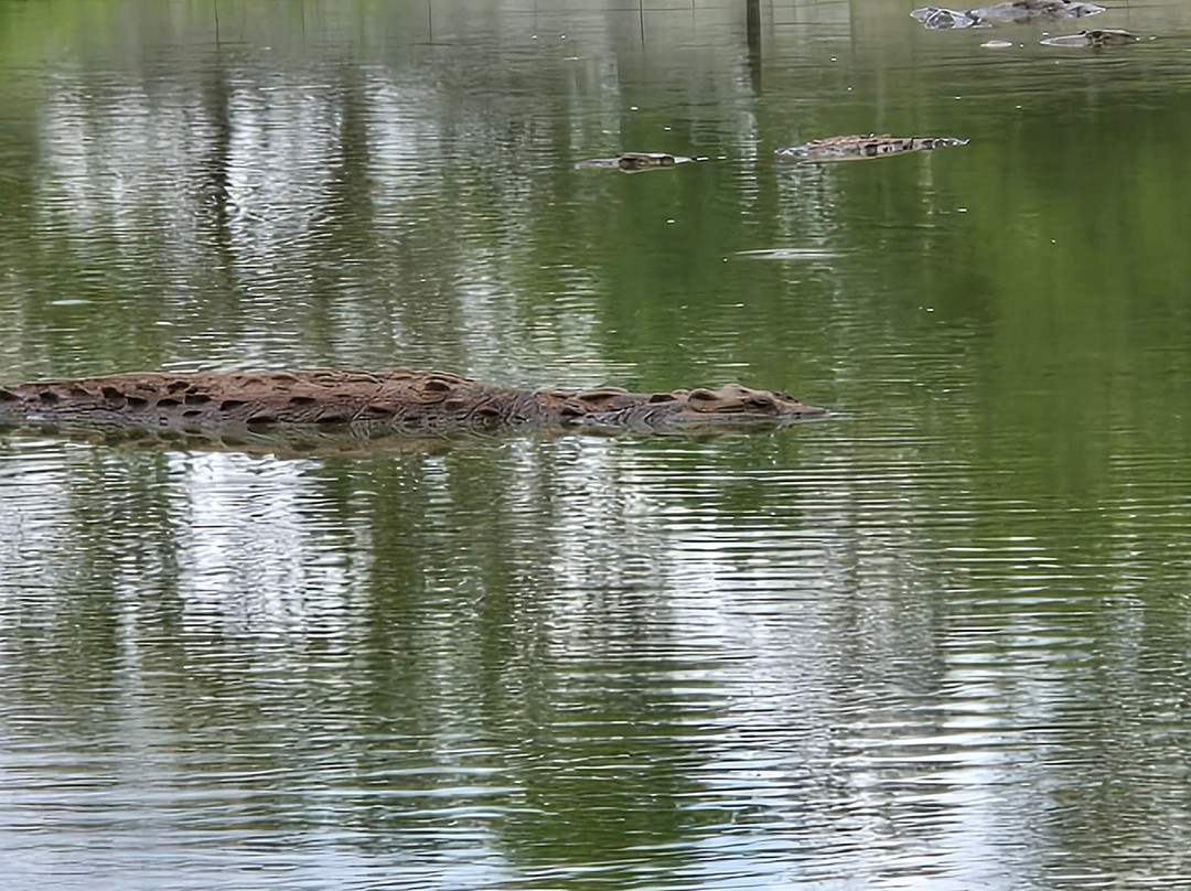 Crocodile Farm-Moron必去景点