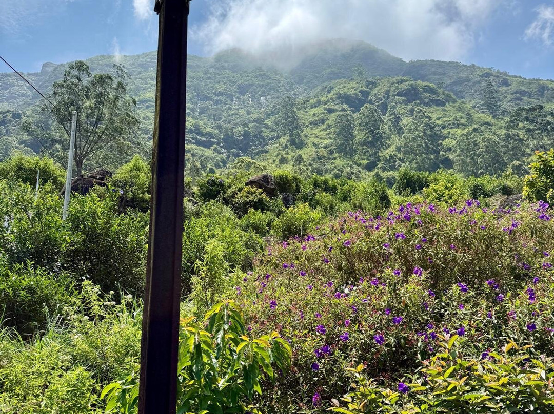 The Ella Odyssey Train-康提必去景点