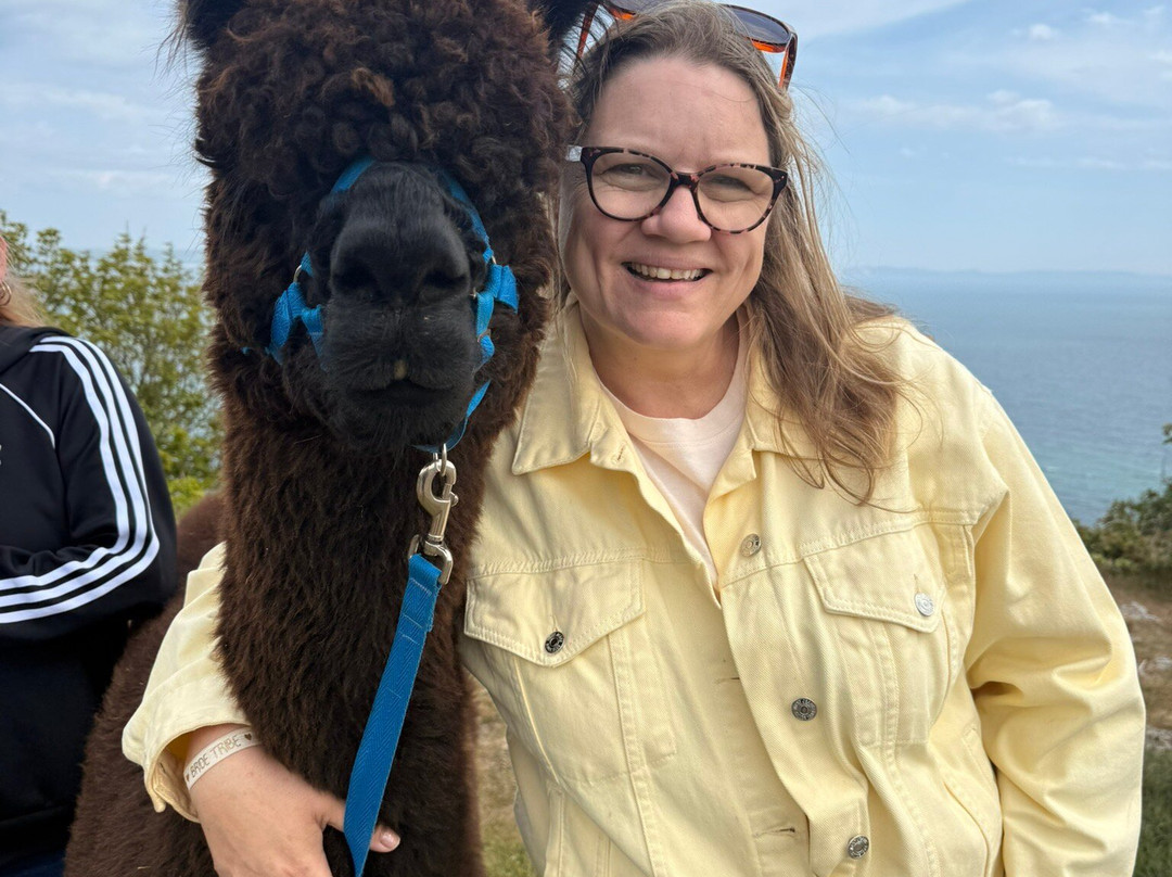 Portland Alpaca Trekking-Weston必去景点