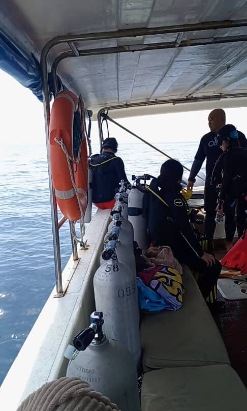 Ocean9 Scuba Tenggol-Pulau Tenggol必去景点