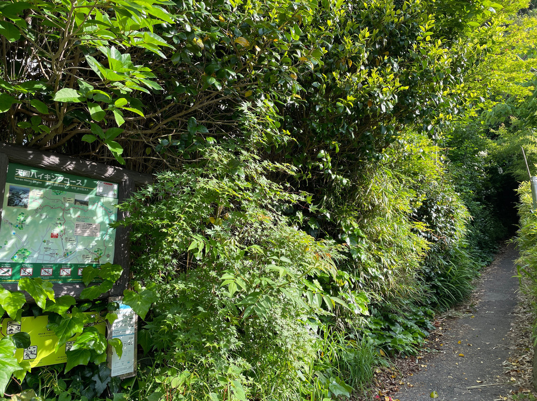 天园徒步线路-镰仓市必去景点