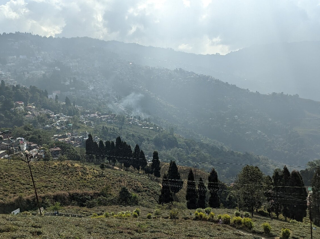 Happy Valley Tea Estate-大吉岭必去景点
