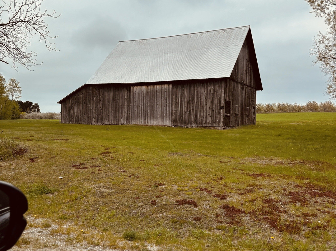 Comfort Inn Traverse City主图