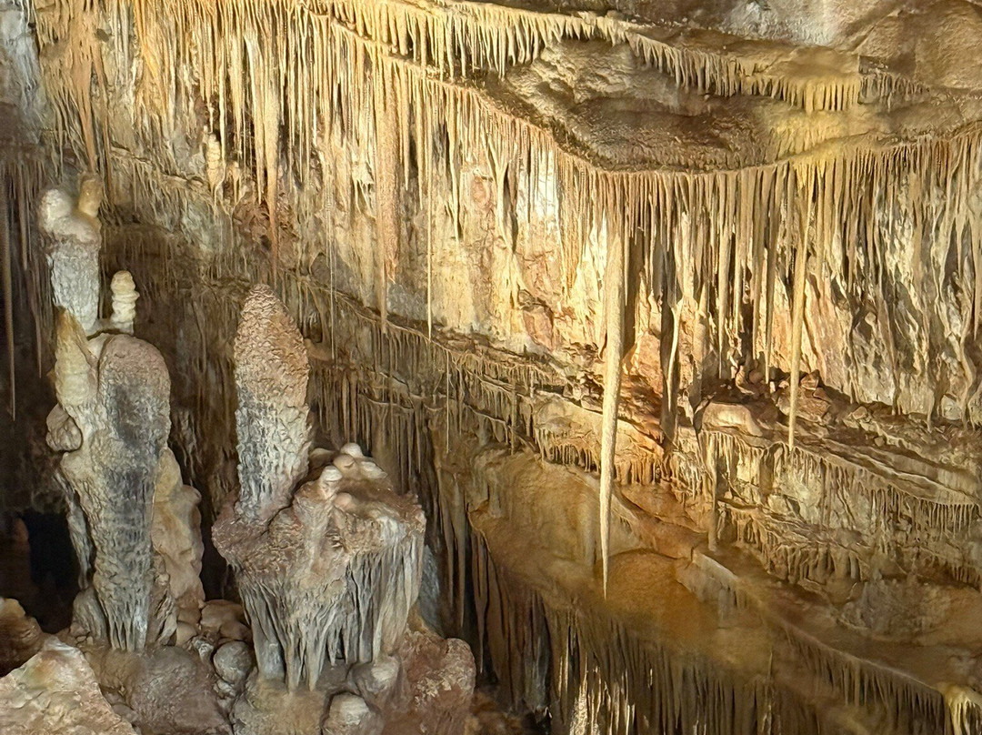 Kartchner Caverns State Park-Benson必去景点