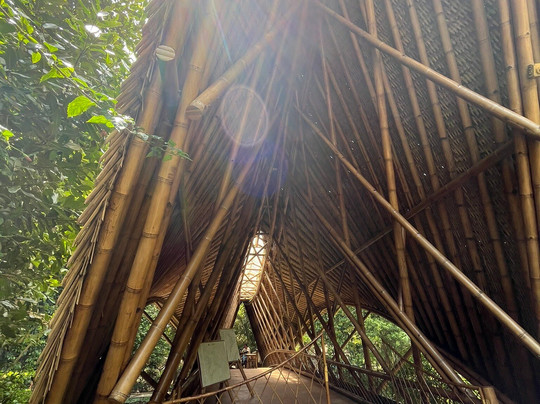 Orangutan Haven-棉兰必去景点