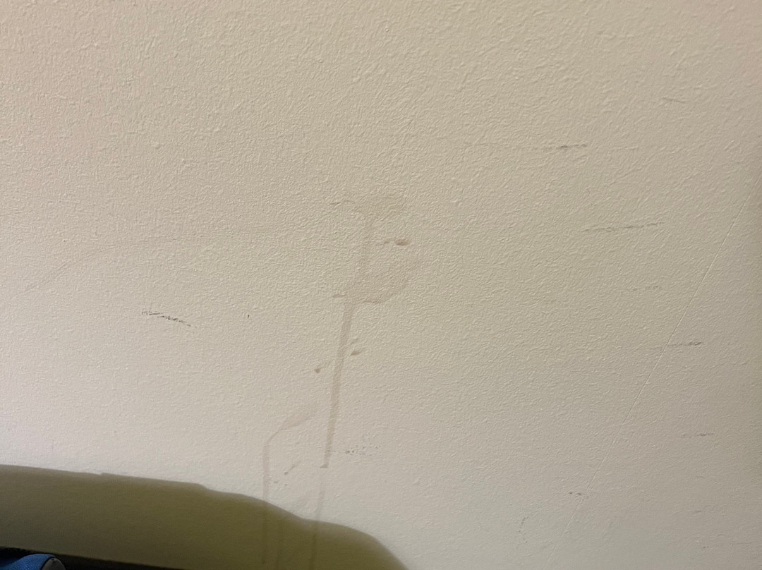 B&B Hotel Rust-Ettenheim主图