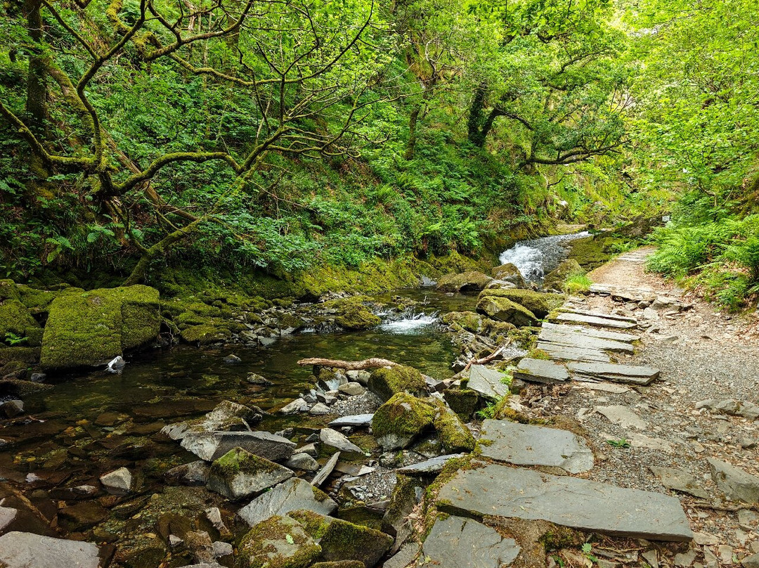 Ceunant Mawr Waterfall景点图片