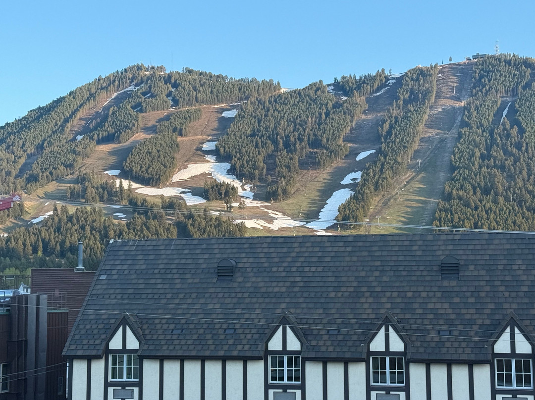 杰克逊酒店主图