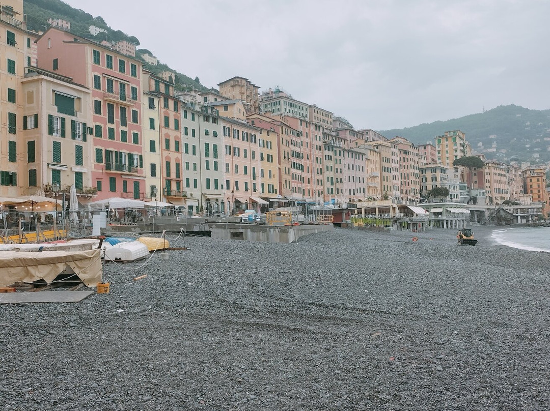 Lungomare di Camogli景点图片