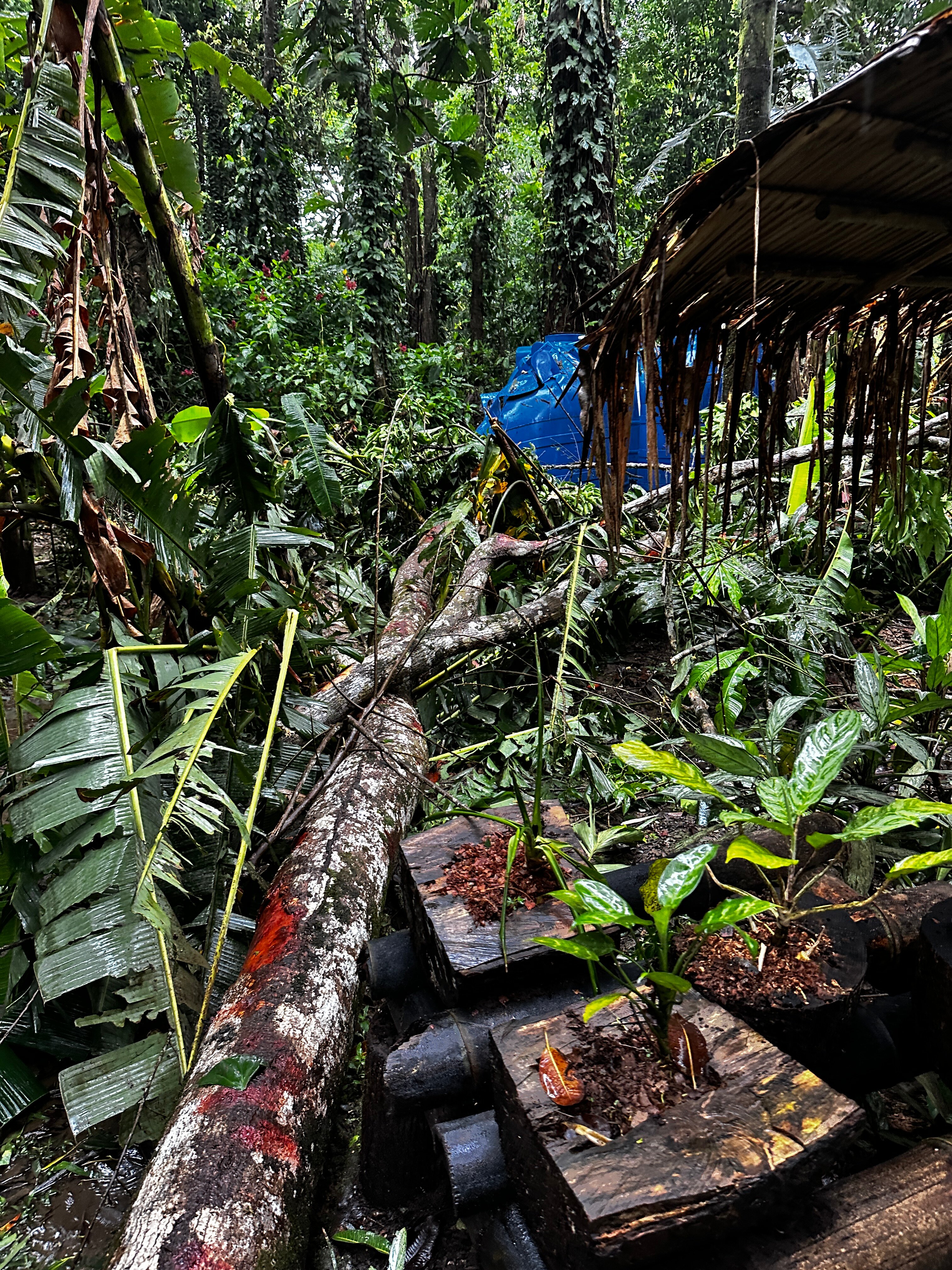 Hotel Shawandha Lodge-官方